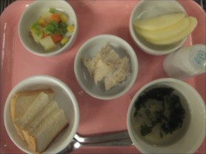 ６月２日後期食_R